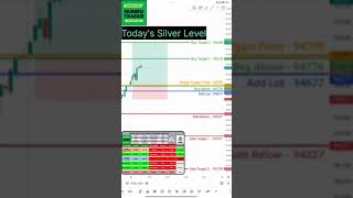 Today's Silver Level Analysis