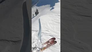 Avalanche Mitigation