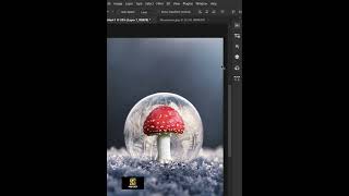 Freeze anything in Adobe Photoshop  #photoshoptipsandtricks #photomanipulation #phtoshoptips