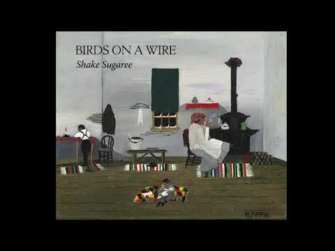 Birds on a Wire | Shake Sugaree (Official Audio)