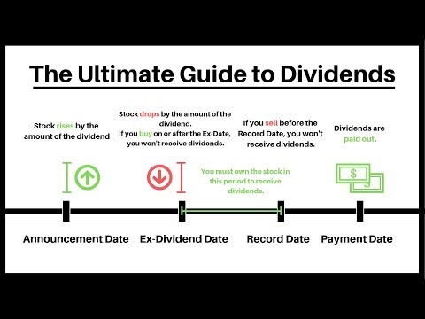 What Are Dividends And How Do They Work