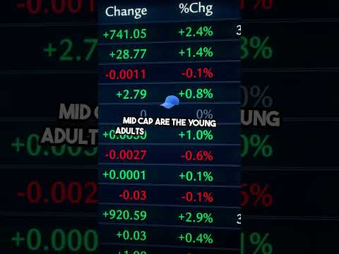 Diving into Stock Market Caps Explained!  #investing #beginnersguide #finance