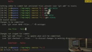Lecture 7: Version Control (2019)