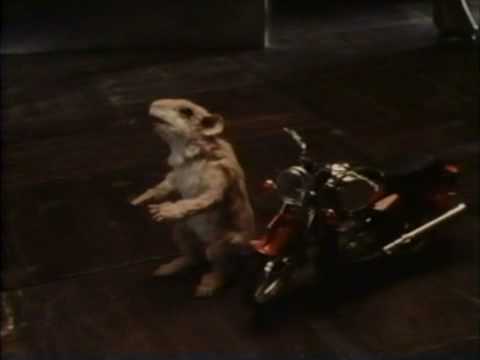The Mouse and the Motorcycle - Excerpt
