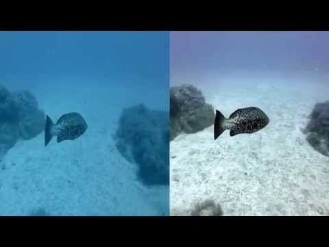 underwater Protune GoPro Hero 4 + GoPros Studio + Adobe After effects