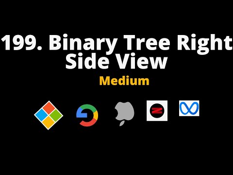 199. Binary Tree Right Side View | Leetcode | Daily