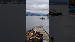 A Pleasant Afternoon #FerrySpotting in #VancouverHarbour! ⛴️😊 #CanadaPlace #Shorts