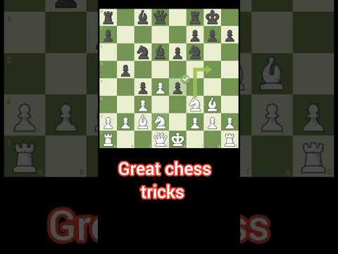 #Chessboard #internationalchessplayer #im #gm #chess #chessboardmatch #chessmatch #champainchess ###