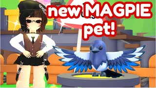 🔴 How To Get NEW Magpie Pet in Adopt Me #adoptme #roblox