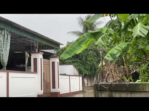Light Rain on the Porch | Relaxing Sounds | Vlog