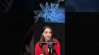 Scientists Discover Woman Carrying TWO Sets of DNA