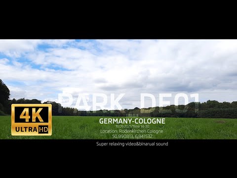 City Park Cologne DE - Nature Relax Video, Summer Scenery - 3 HRS 40 MIN.  (🎧 Best with Headphones)