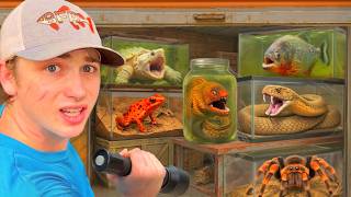 I Found Deadly Animals in an Abandoned Storage Unit…