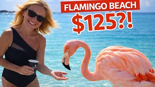 Is Flamingo Beach Worth $125? | Aruba Cruise Day at Renaissance Island