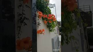 my 1st vlog #study #daliyvlog #studymotivation #daliyroutine #motivational