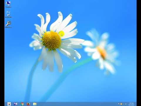 take website Full page Screenshot - Web Development