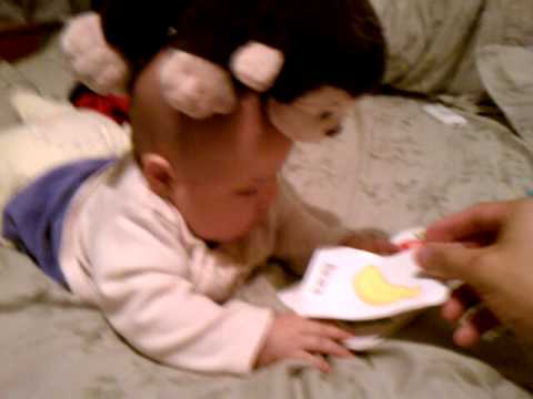 baby and monkey studying
