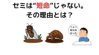 ゆっくり解説 雑学 豆知識 トリビア 聞き流し 役に立つ おもしろい 面白い 楽しい 笑える バラエティ