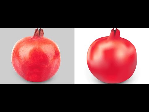 Adobe Illustrator Using Mesh Tool