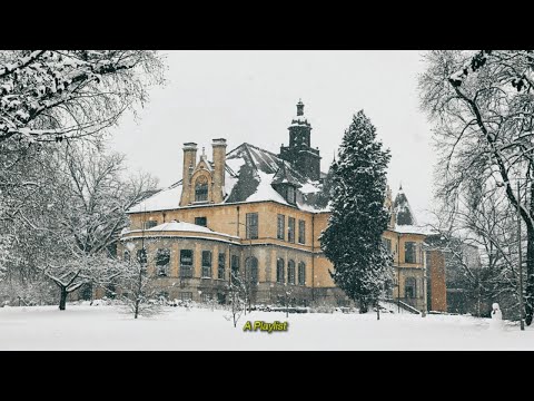 Enjoying the Winter's Quiet Beauty | A Dark Academia Playlist