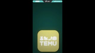 Temu - how do they do it?