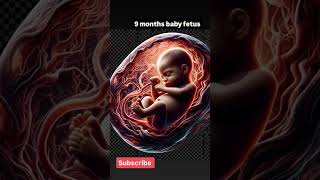 9 month baby fetus#momtobe #babybumplove #newbornbaby #motivation #pregnancystages