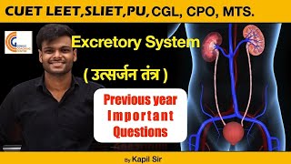 CUET LEET Gen. Sc.Topic Excretory system उत्सर्जन तन्त्र में पूछे गए BIOLOGY के QUESTIONS MCQ 4 LEET
