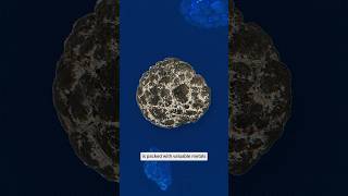 This tiny ocean rock is worth TRILLIONS?!