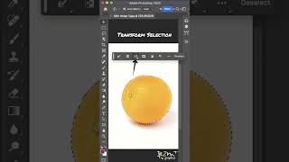 One Click Object selection in Photoshop