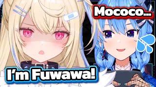 Suisei accidentally mistook Fuwawa as Mococo