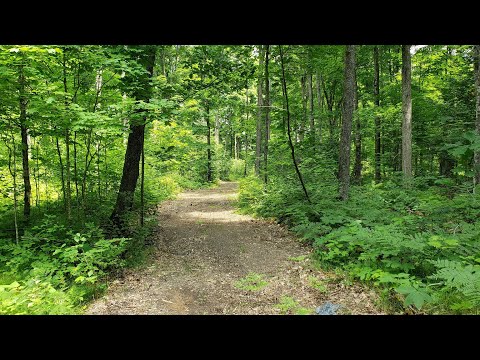 Forest County, Wisconsin Secluded Camp or Cabin Sites for Sale