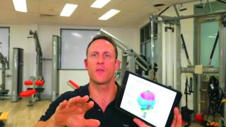 NeuroPerformance Theory - The cerebellum