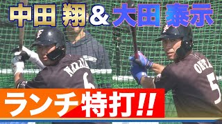 【ファイターズキャンプ】中田翔＆大田泰示がランチ特打に登場‼　たっぷり見せます‼〈北海道日本ハムファイターズ〉