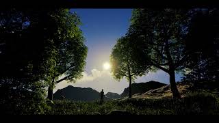 Wide Environmental Visualization