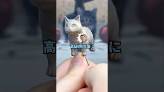 【2ch面白いスレ】なんG民、初任給で家族を高級焼肉屋に連れて行った結果・・・