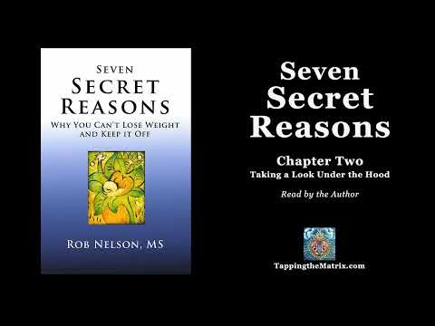 Seven Secret Reasons - Chapter Two (Audiobook)