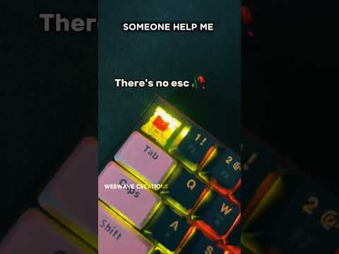 Lost Control Key, No Escape Key, Need Space Key | Funny Keyboard Meme | Programmers Will Relate 😂