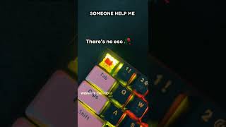 Lost Control Key, No Escape Key, Need Space Key | Funny Keyboard Meme | Programmers Will Relate 😂