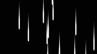 VJ LOOPS 2019