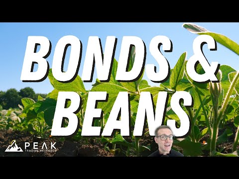 Bonds 🏦 & Beans 🌱 Trading System 🚀 | Strategy of the Month February 2024