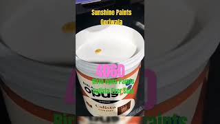 Birla opus Paints #shorts #birlaopus #duniyakorangdo #neweraofpaints