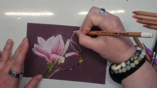 Texture Thursdays - Texture Study 26 Magnolia in Soft Pastels