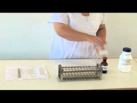 Video 1 - TEST FOR STARCH.mov