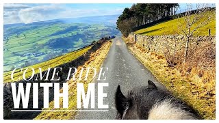 COME RIDE WITH ME | Hacking out my stallion | Team Motley Equestrian