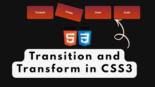 🔥 CSS Transform Effects — Translate, Rotate, Skew & Scale!