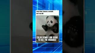 Programming memes, only humor #jokes #fy #fyp #soft #software #code #it #technology #git