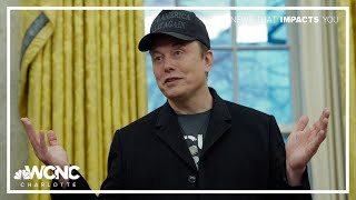 Elon Musk's DOGE shut down months early, ending controversial efficiency initiative