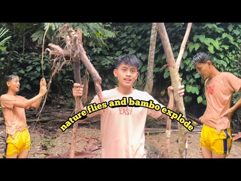 nature flies and bamboo explode