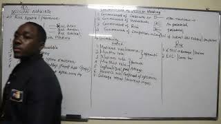 Decision Making - REACH US THROUGH  0723579332