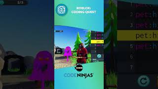 ROBLOX CODING QUEST - SUMMER CAMP